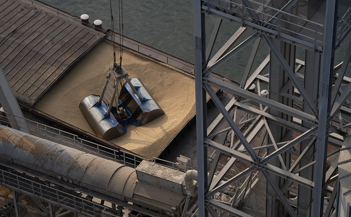 Andreea Campeanu / Getty Images