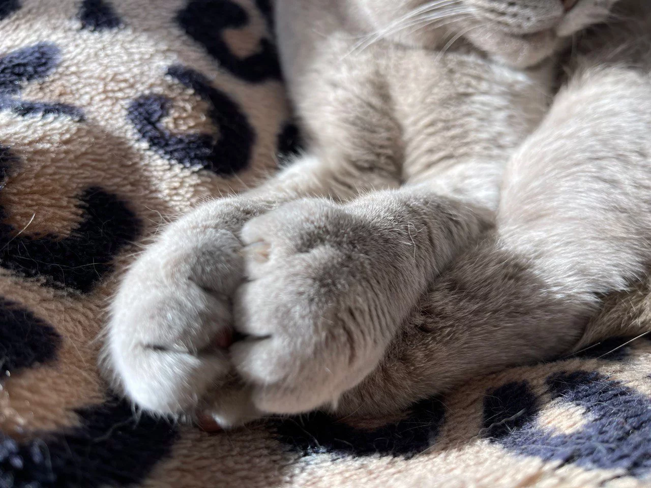 РБК Приморье