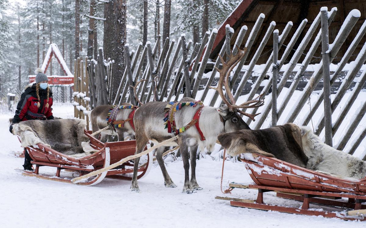 Фото:  KAISA SIREN / EPA / ТАСС