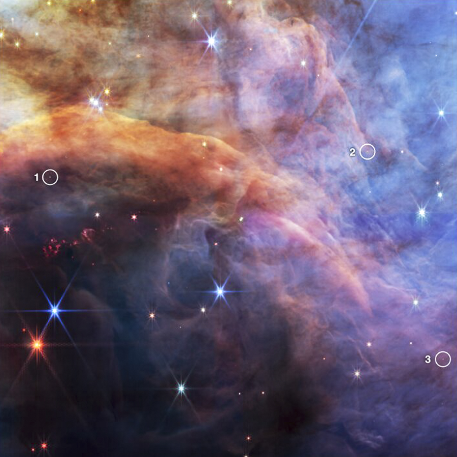 Объект NGC 2024, также известный как туманность Пламя. Она расположена в созвездии Орион, на расстоянии около 1,4 тыс. световых лет от Земли. В туманности находятся коричневые карлики&nbsp;&mdash; объекты, которые настолько малы, что их ядра никогда не смогут синтезировать водород, как делают&nbsp;полноценные звезды. Со временем свет коричневых карликов тускнеет и те остывают, поэтому их становится сложно наблюдать даже на небольших расстояниях от Земли. Расположенные в туманности Пламя карлики еще очень молоды