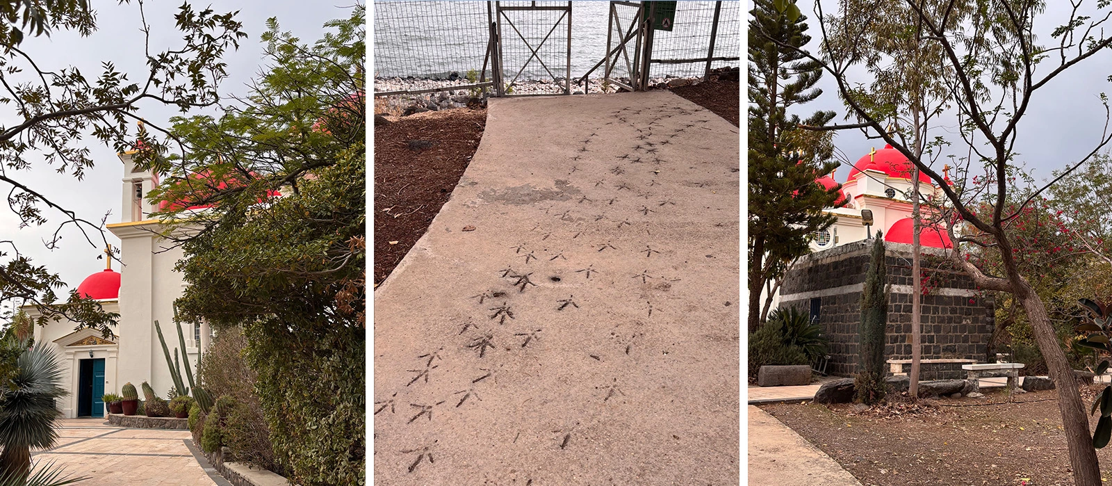 На территории Собора двенадцати апостолов