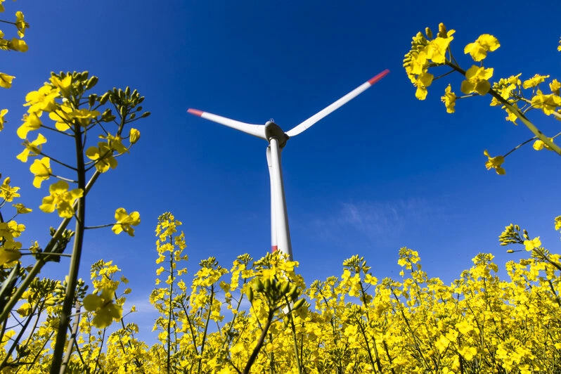 Александр Подгорчук