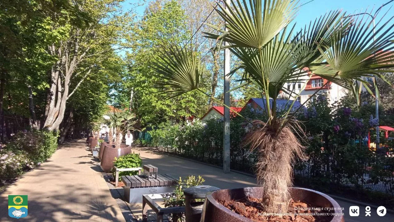 пресс-служба администрации Зеленоградска