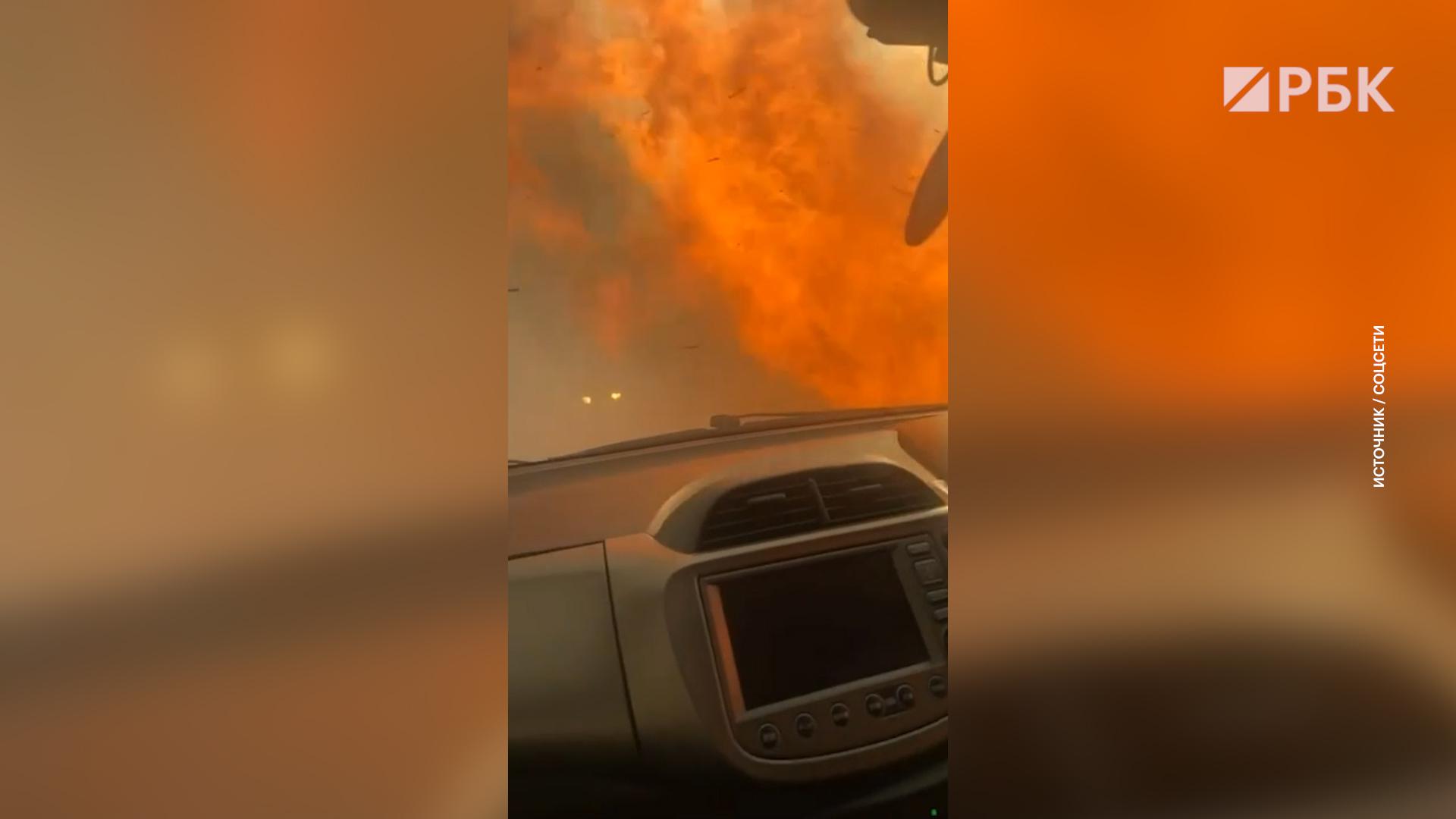 «Все в огне». В Приморье водитель показала добравшийся до трассы пожар