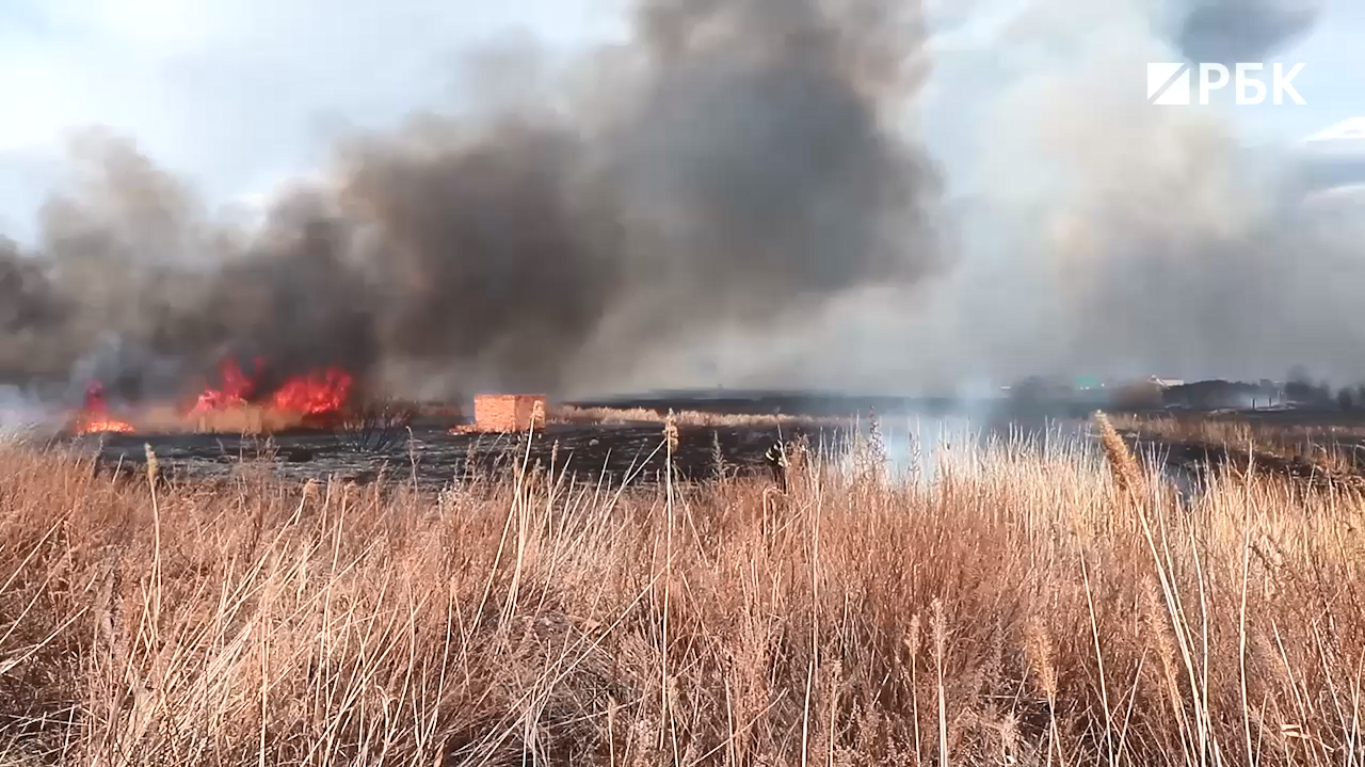 Пожары в курганской области фото