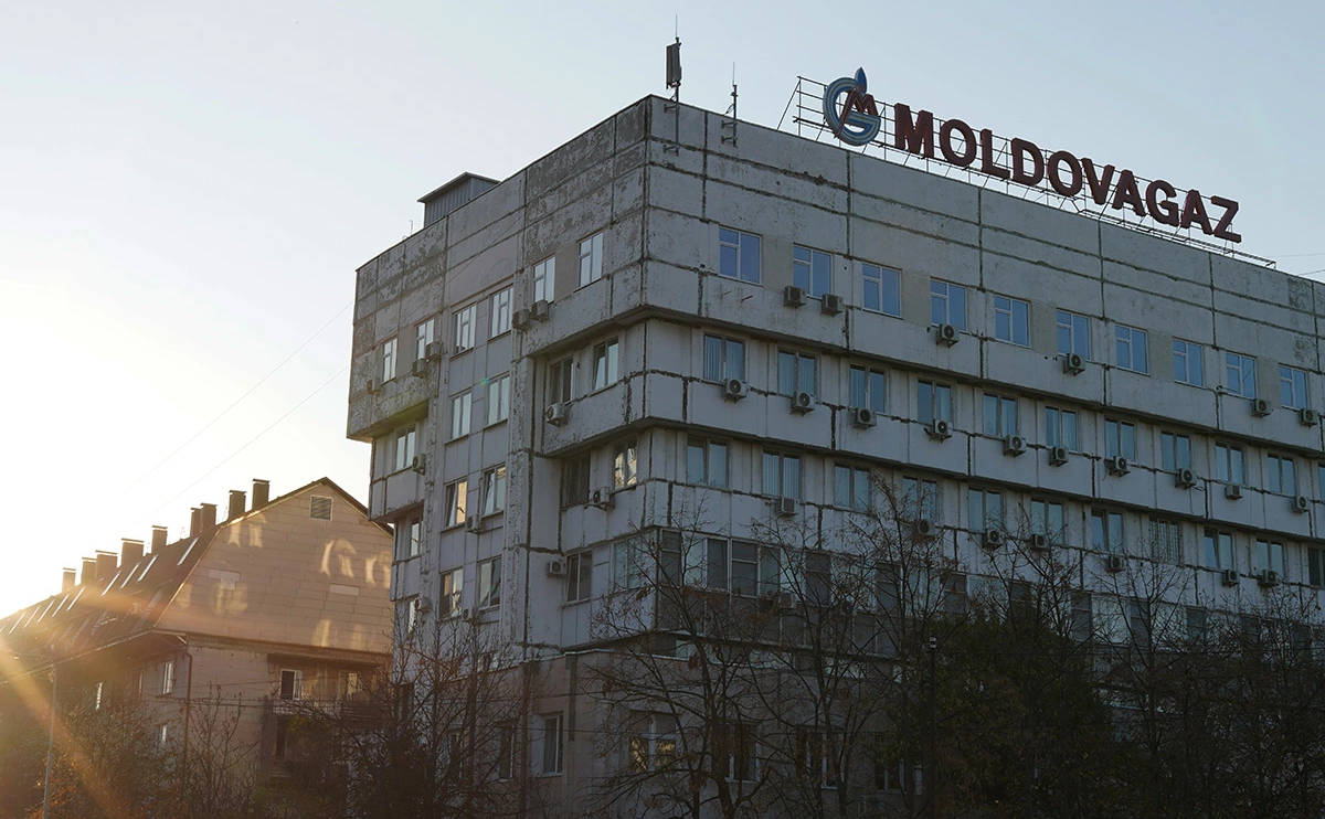 Andreea Campeanu / Getty Images