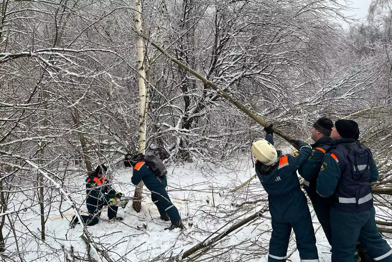 Пресс-служба управления МЧС Нижегородской области