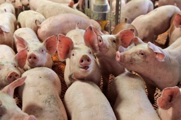 Правительство Хабаровского края