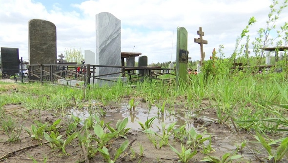 Власти хотят построить быстровозводимый крематорий на Северном кладбище
