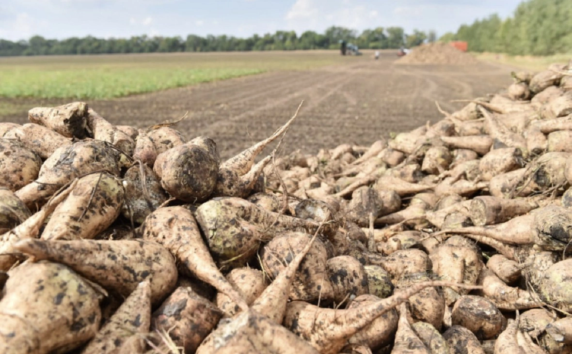 Минсельхоз РБ