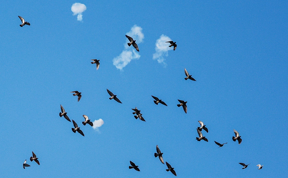 Ammar Awad / Reuters