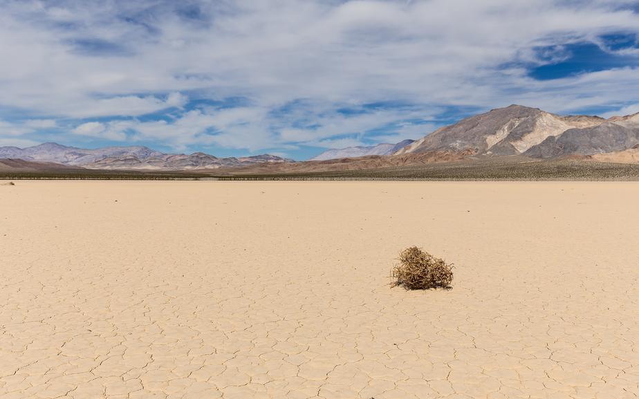 Фото: Shutterstock