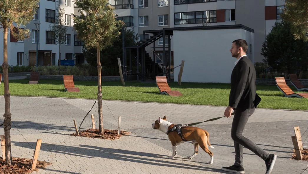 «Брусника»