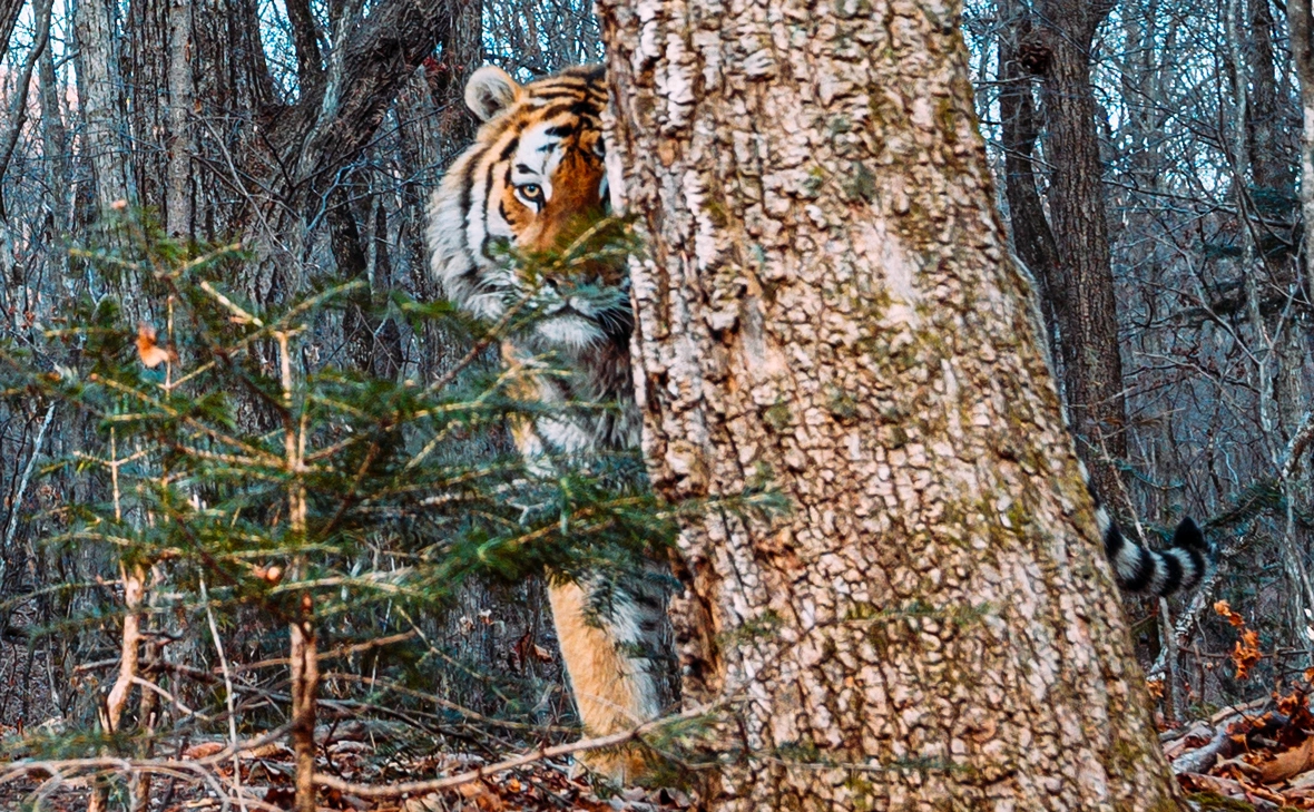 Юрий Смитюк / ТАСС