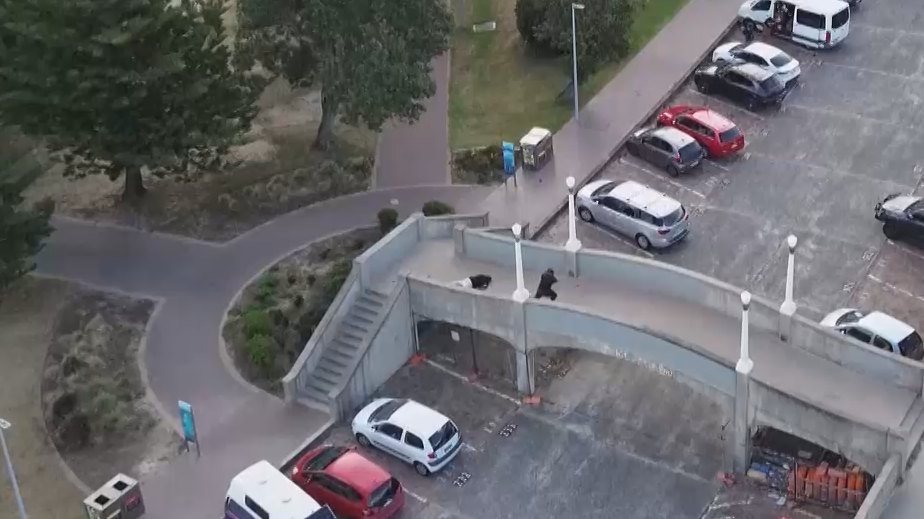 Число погибших при теракте в Сиднее во время Хануки возросло до 16