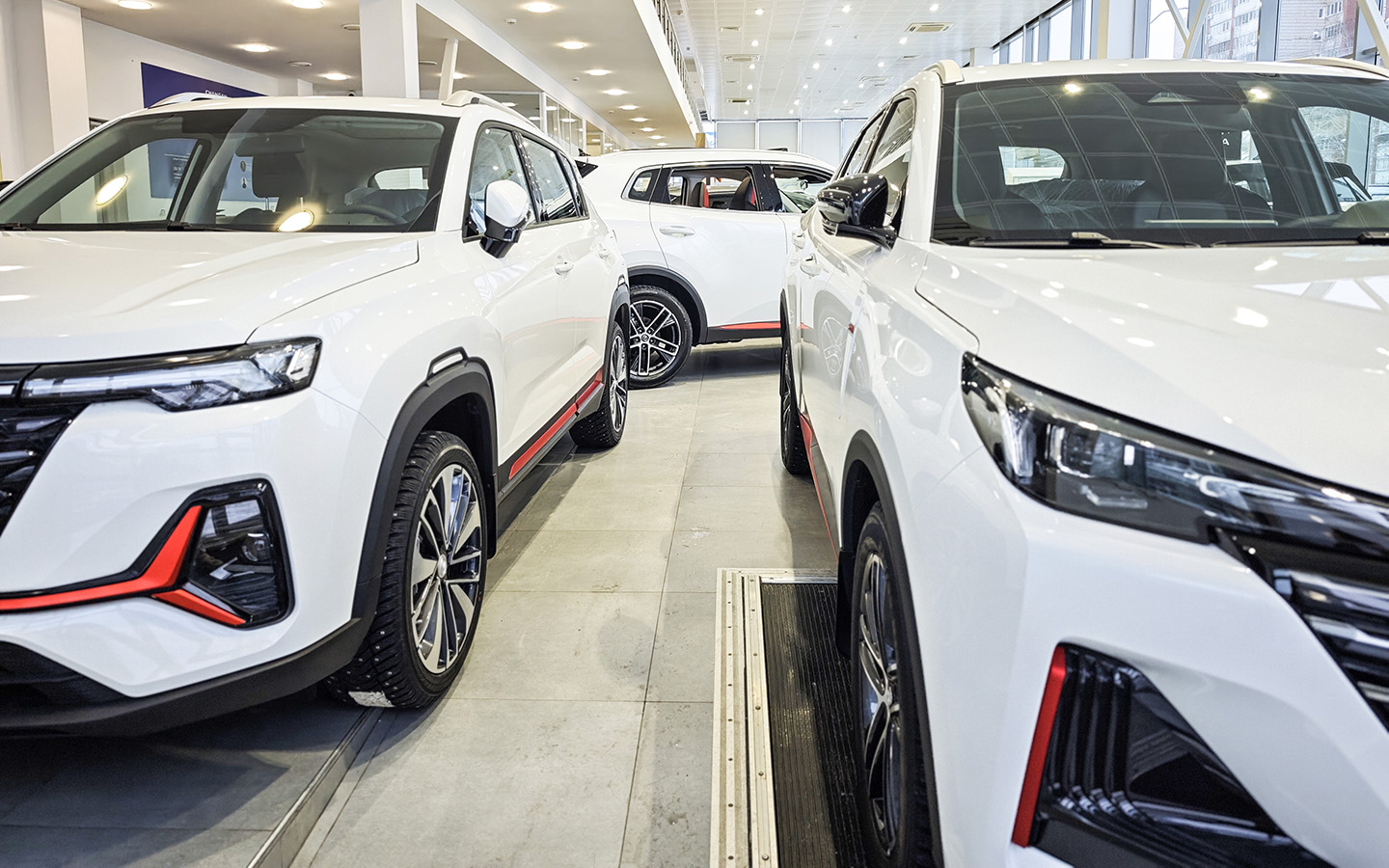 Фото: KELENY / Shutterstock / FOTODOM