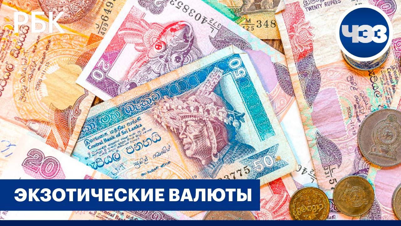 Нумизматы поневоле: зачем россияне скупают валюту разных стран?