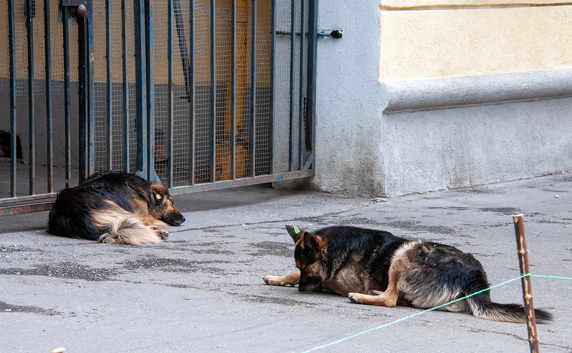 Светлана Возмилова / Global Look Press