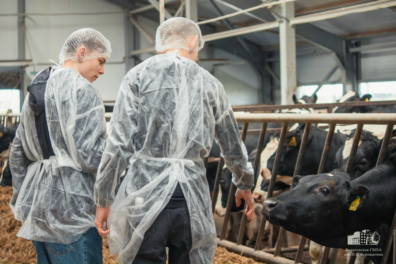 Вологодская ГМХА имени Верещагина