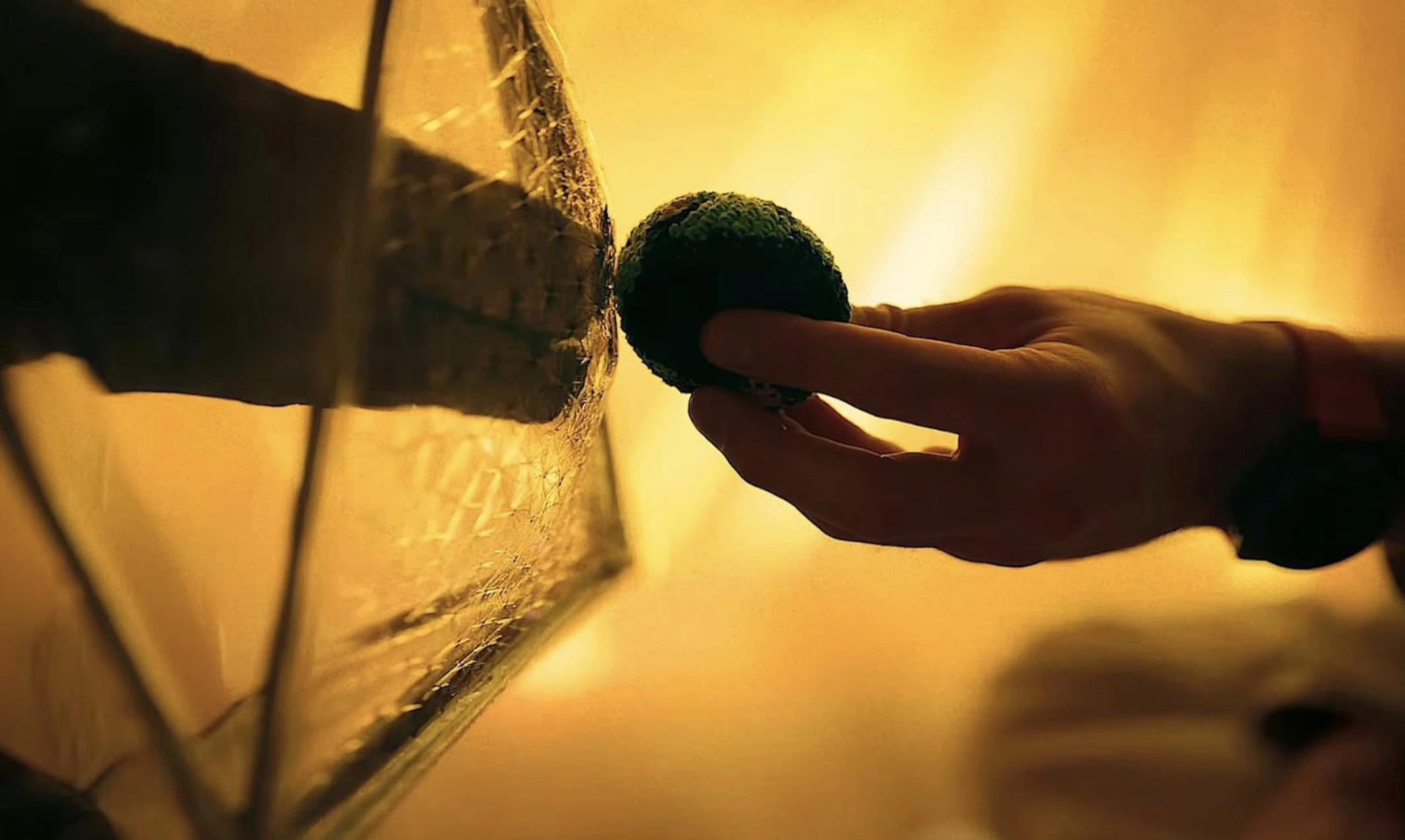 Кадр из фильма «Проект «Конец света»