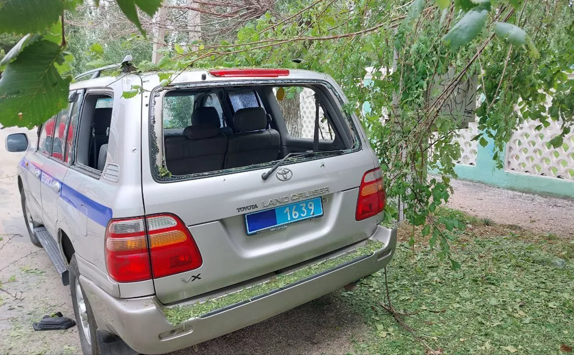 glava_brd / Telegram