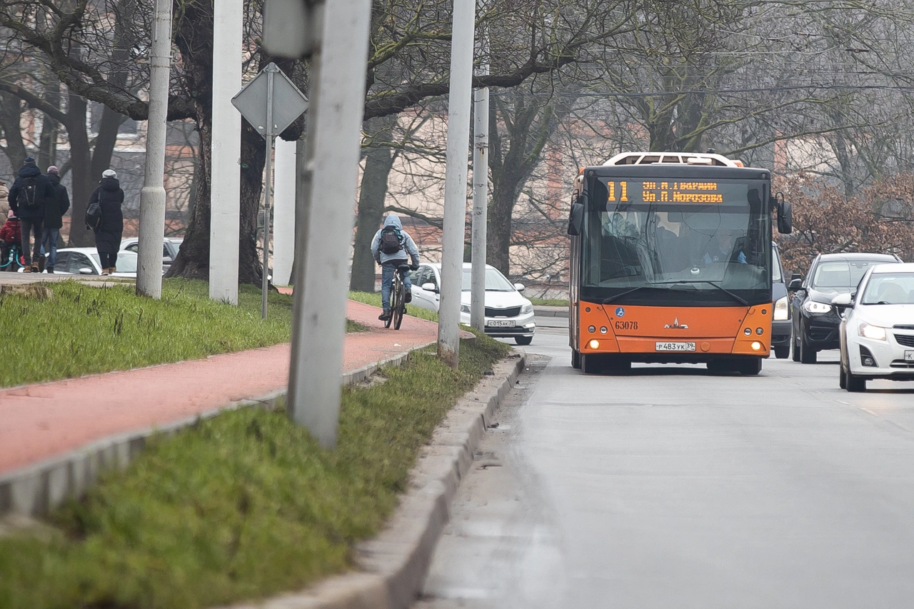 Александр Подгорчук 
