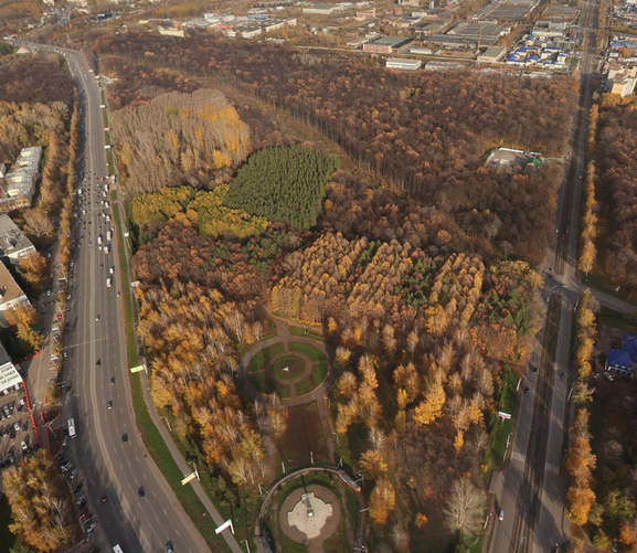 Вид сверху на территорию парка Калинина, где планируется создать Парк искусств.
