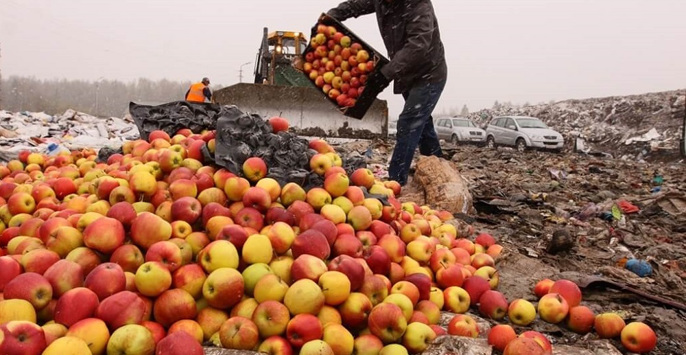 В Прикамье уничтожили санкционные фрукты
