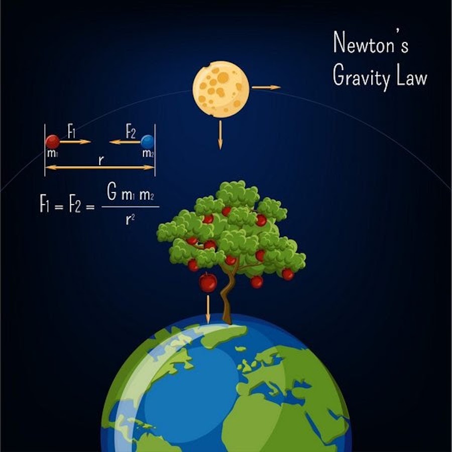Newton's law of gravity