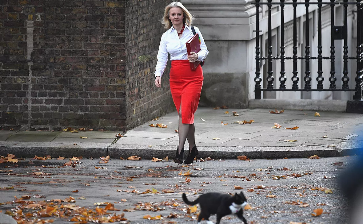 Leon Neal / Getty Images