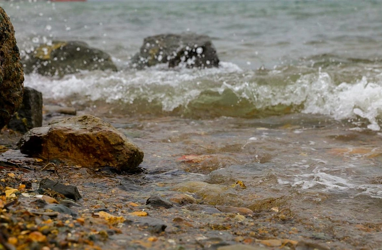 Правительство Приморского края