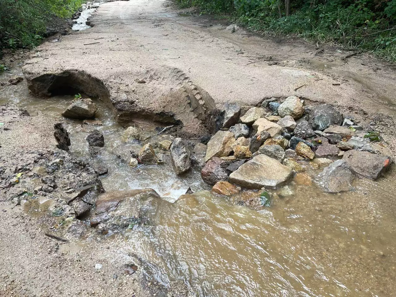 РБК Приморье 