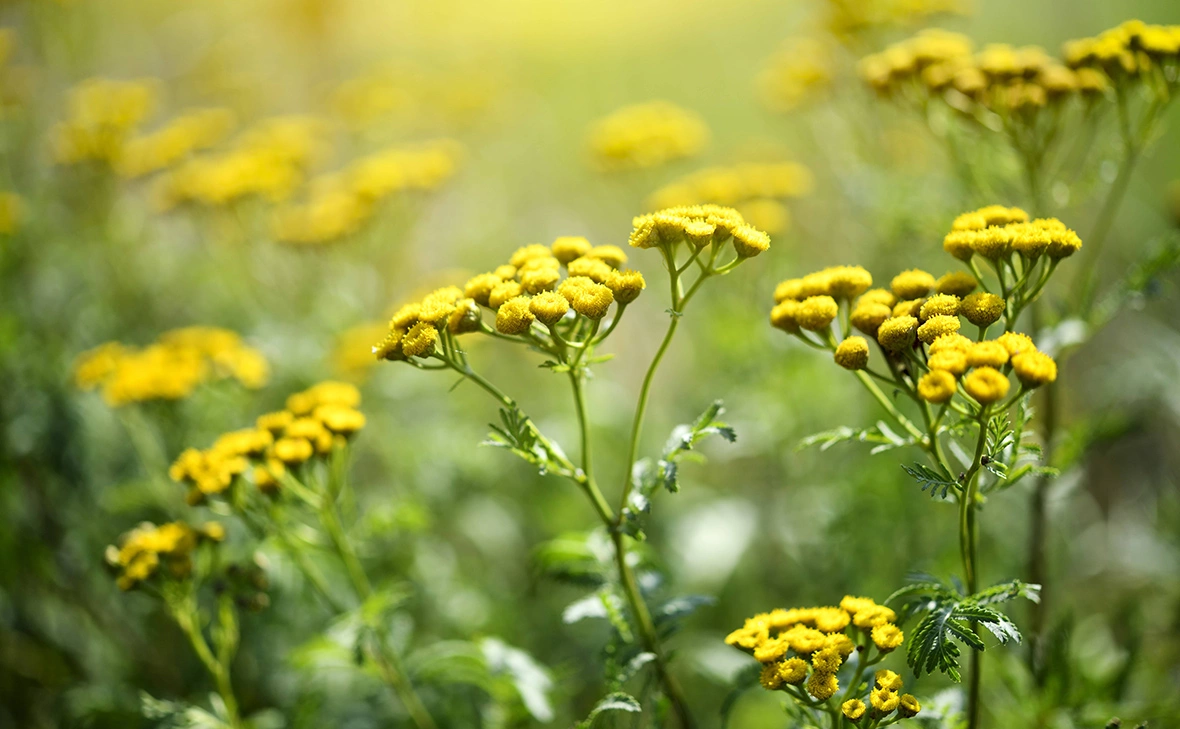 Christian Ohde / imago / ТАСС