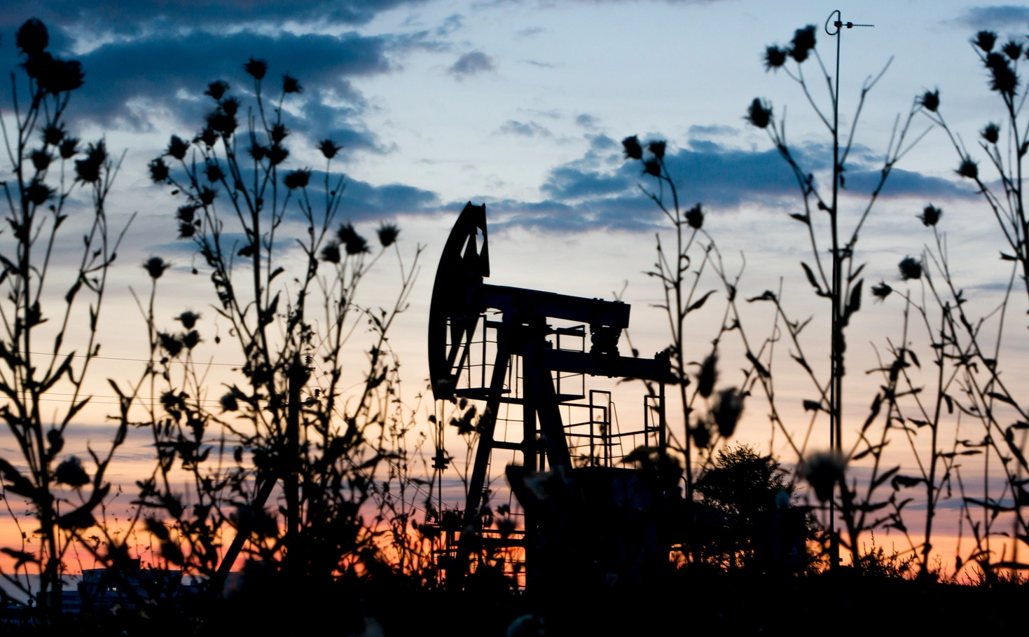 Олег Спиридонов / Бизнес Online / ТАСС