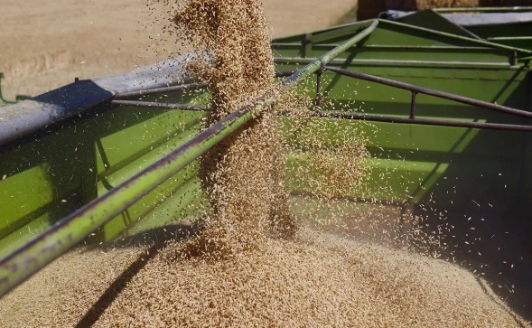 Hannibal Hanschke / Getty Images