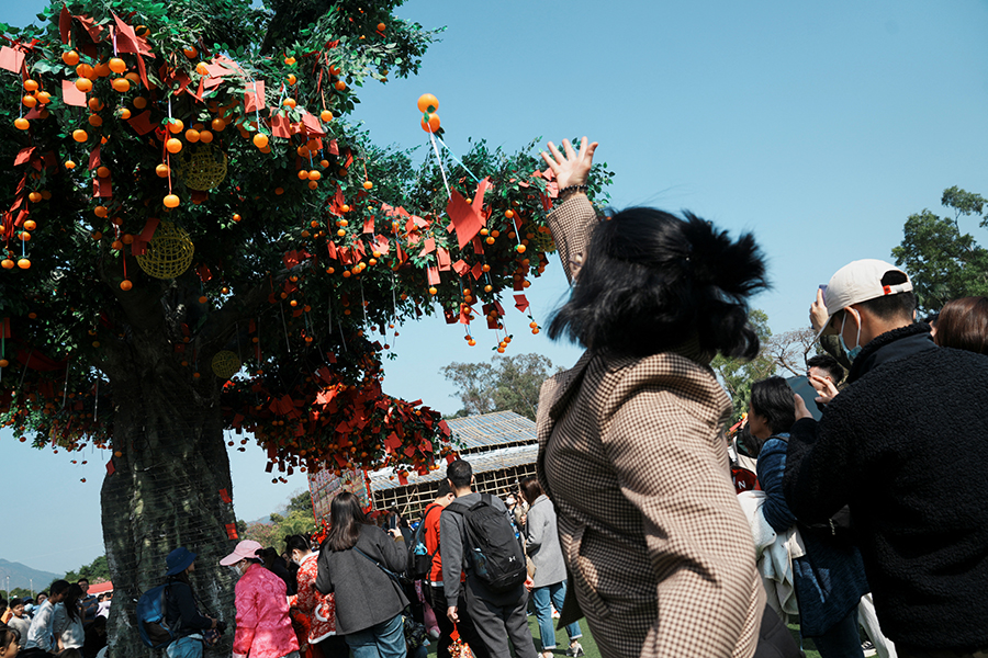 Жители Гонконга загадывали свои желания у дерева