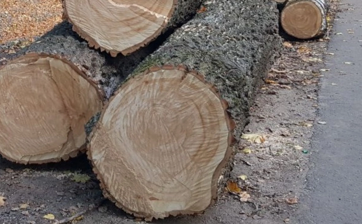 РБК Черноземье