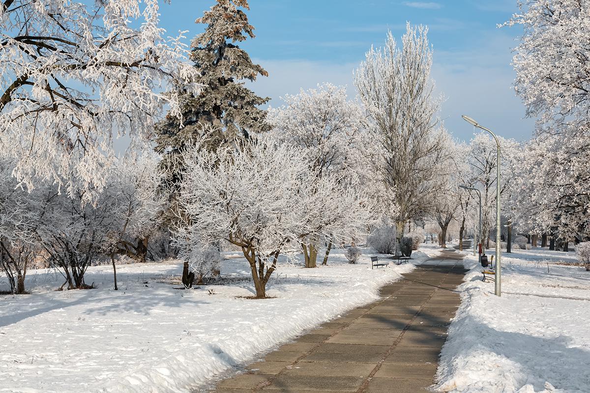 Фото: Tykhanskyi Viacheslav / Shutterstock / FOTODOM