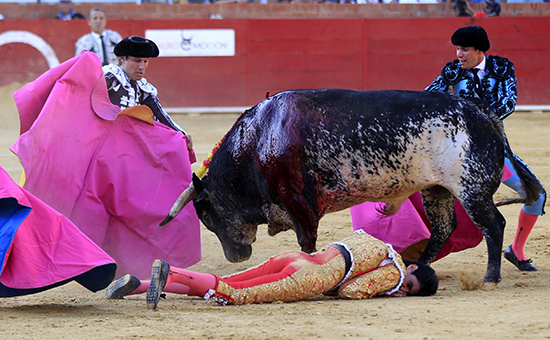 Поверженный быком испанский тореадор Виктор Баррио,&nbsp;9 июля 2016 года.&nbsp;Теруэль,&nbsp;провинция Арагон, Испания


