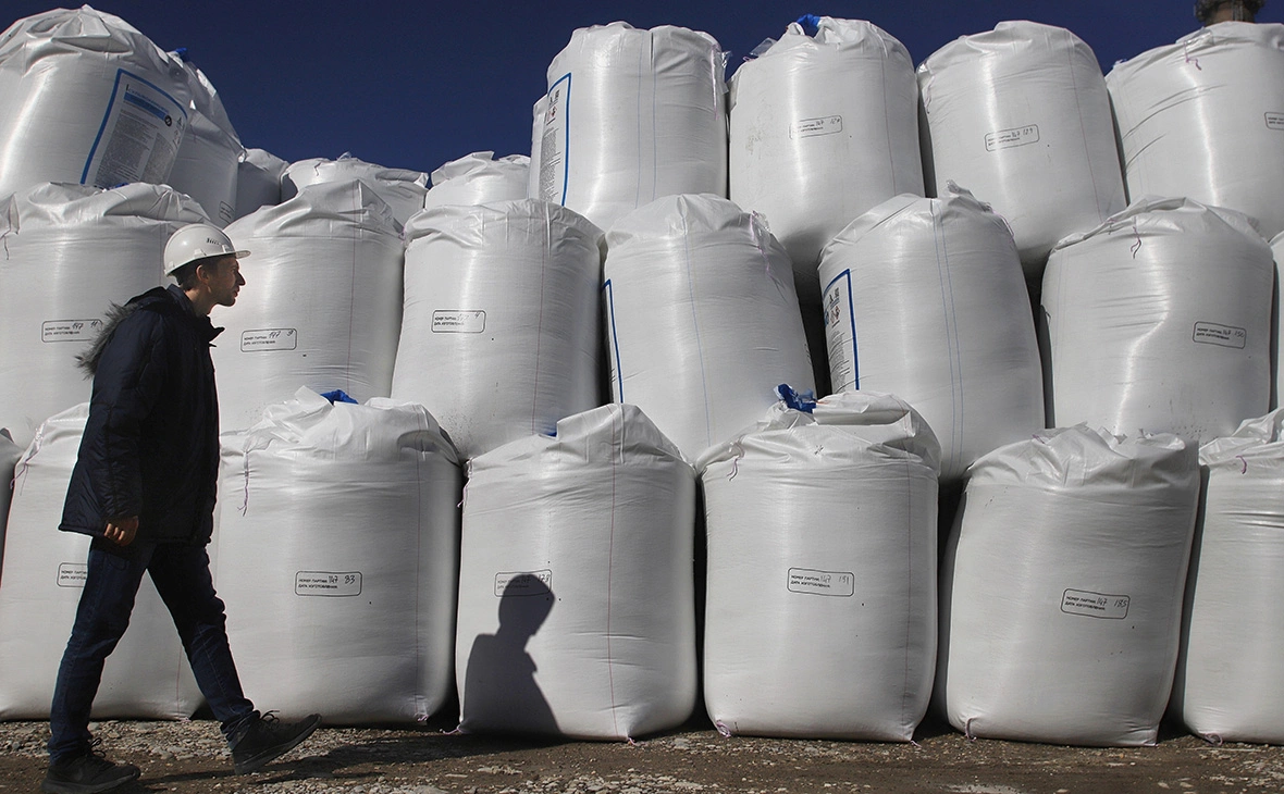 Денис Абрамов / РИА Новости