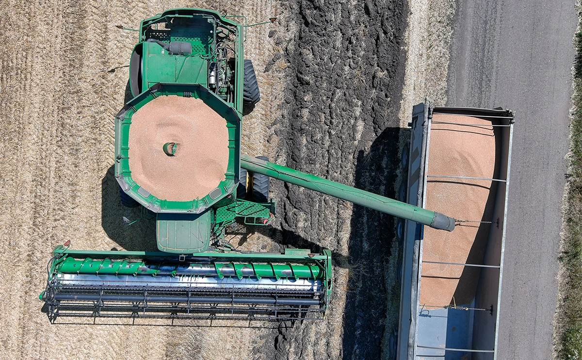 Дмитрий Ягодкин / ТАСС