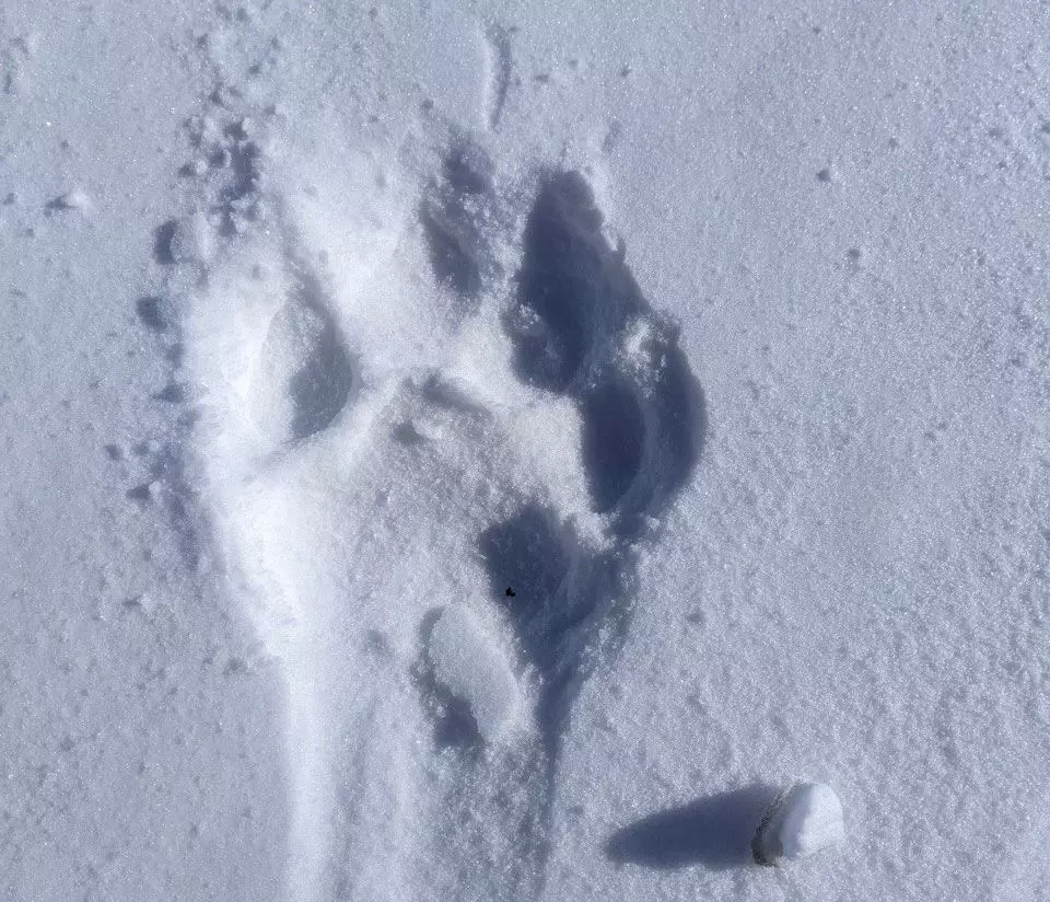 РБК Приморье