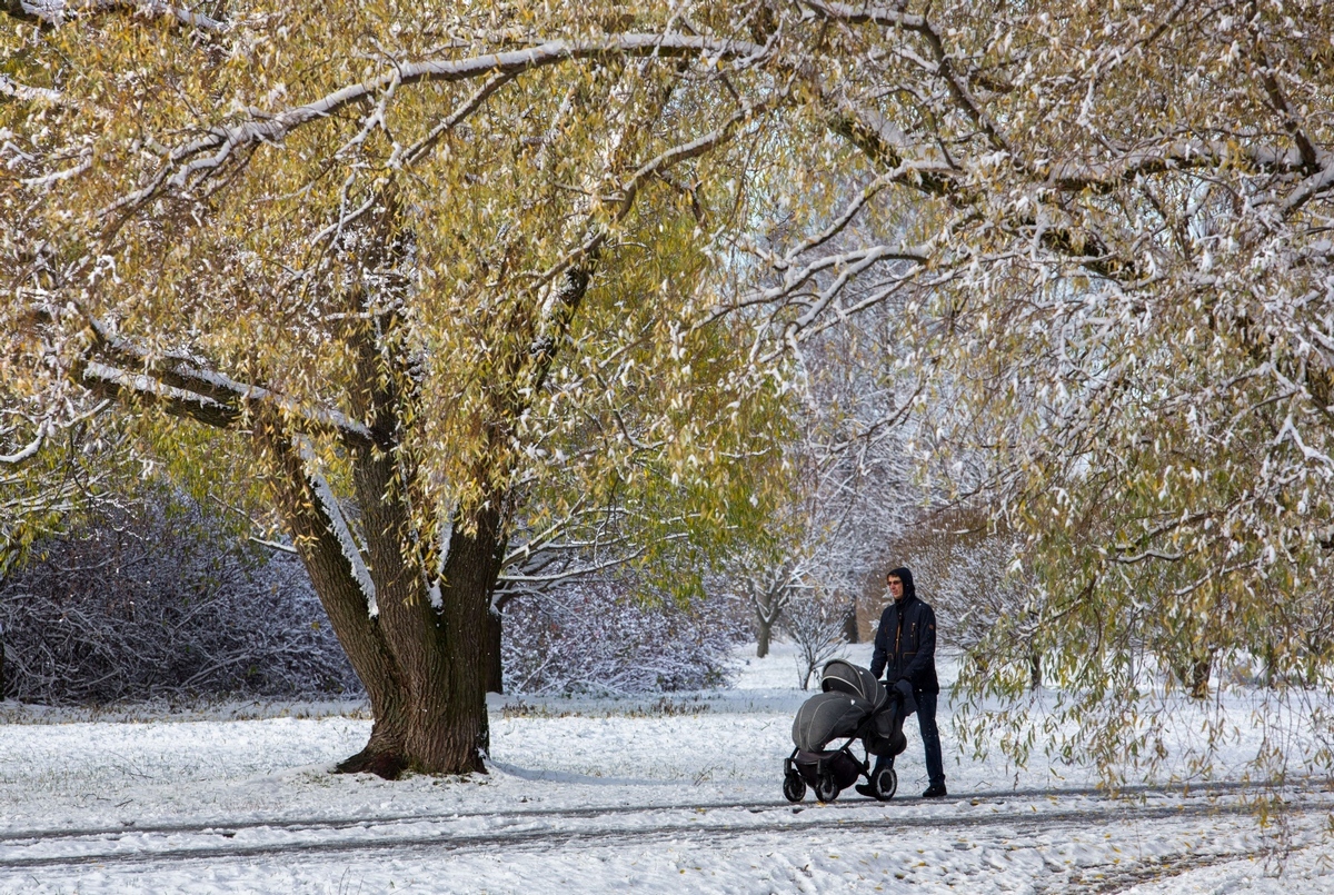 Фото: Куликов Сергей/PhotoXPress.ru