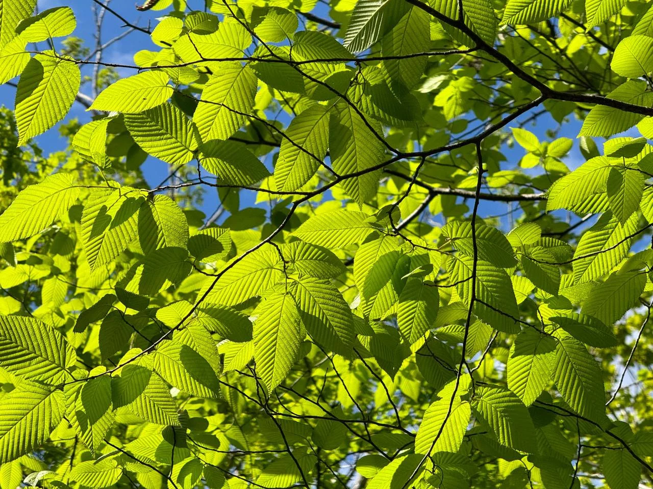 РБК Приморье