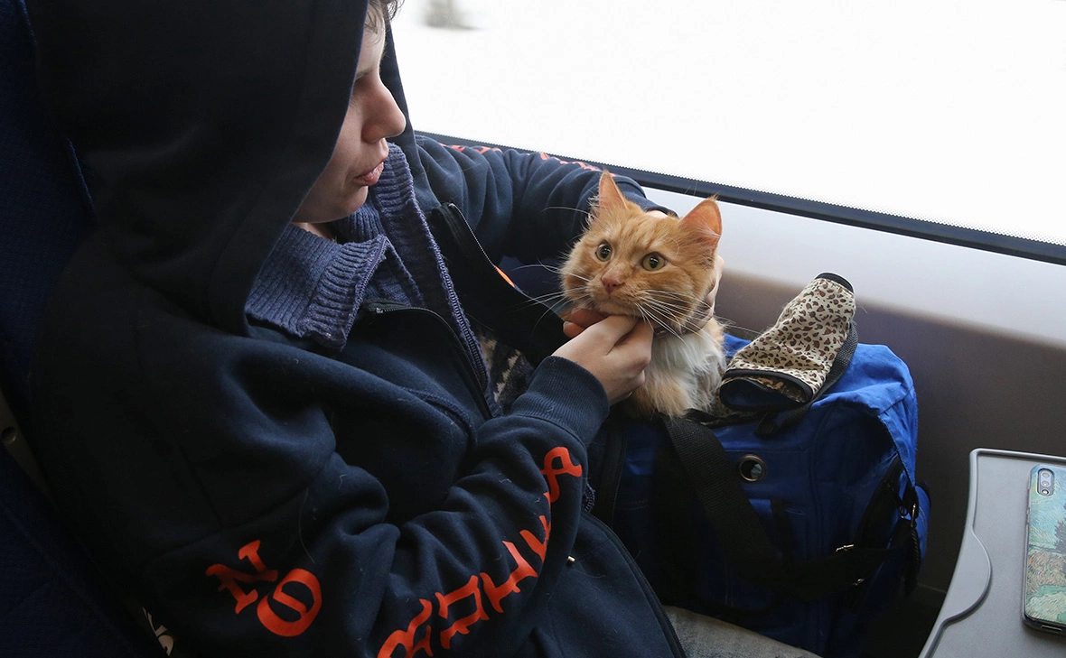 Владимир Гердо / ТАСС