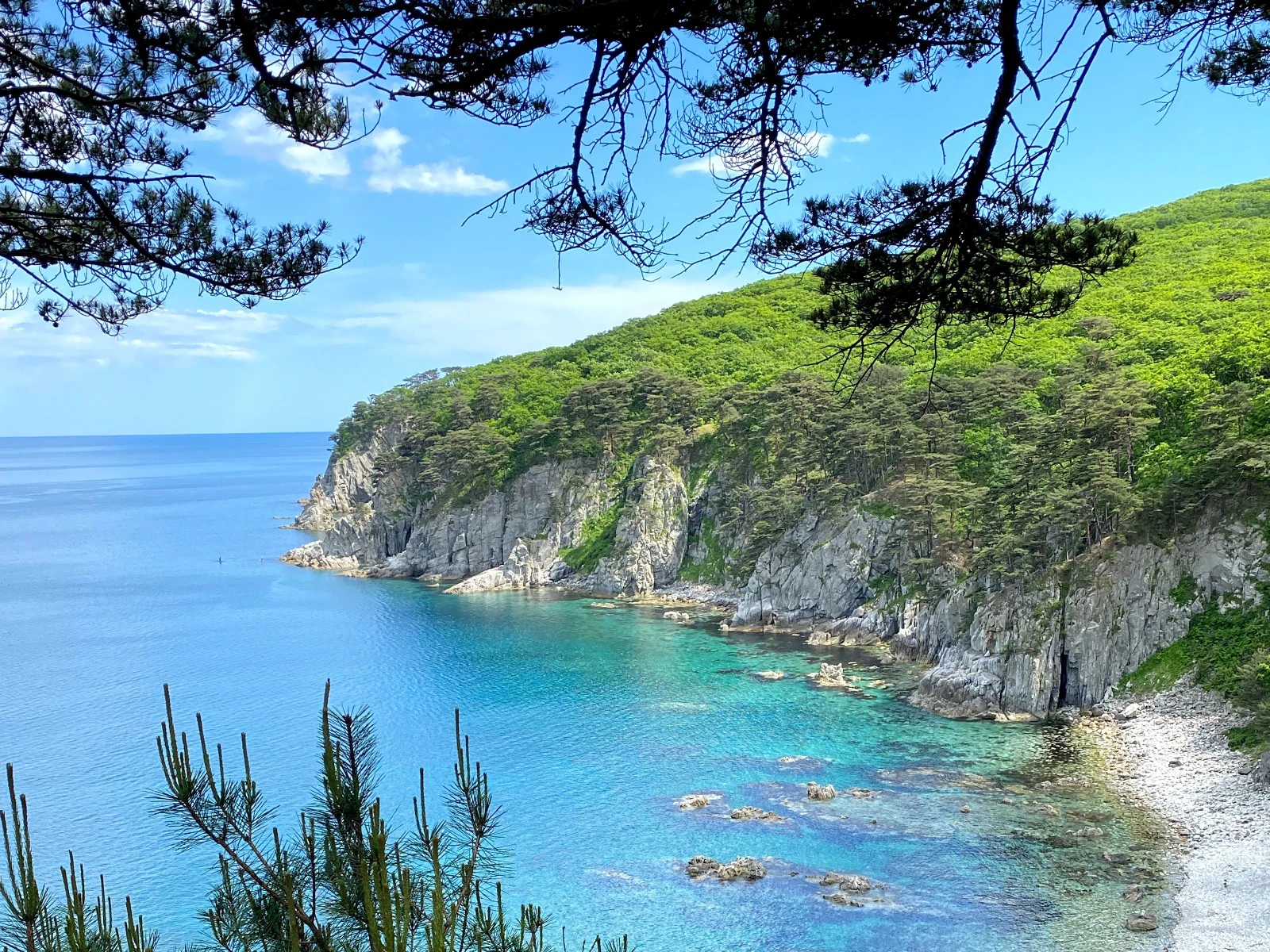 РБК Приморье