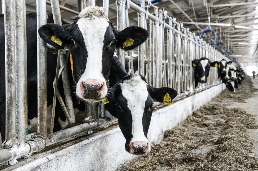 Владимир Жабриков / РИА URA.RU