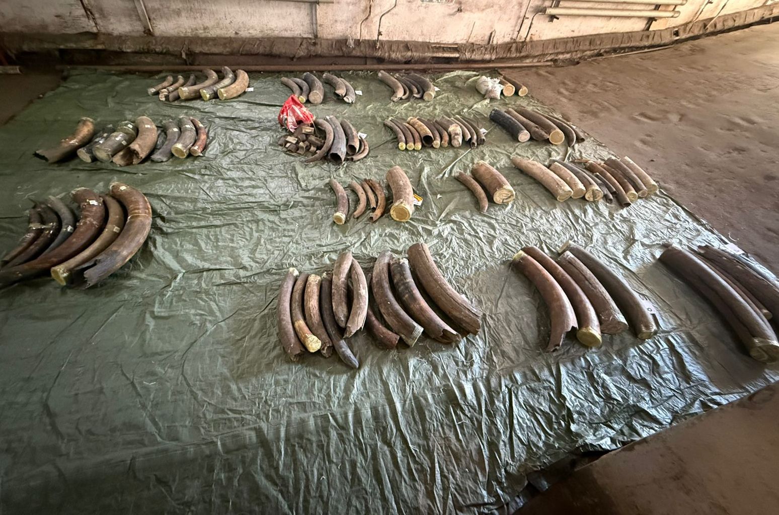 Фото: Хабаровская таможня