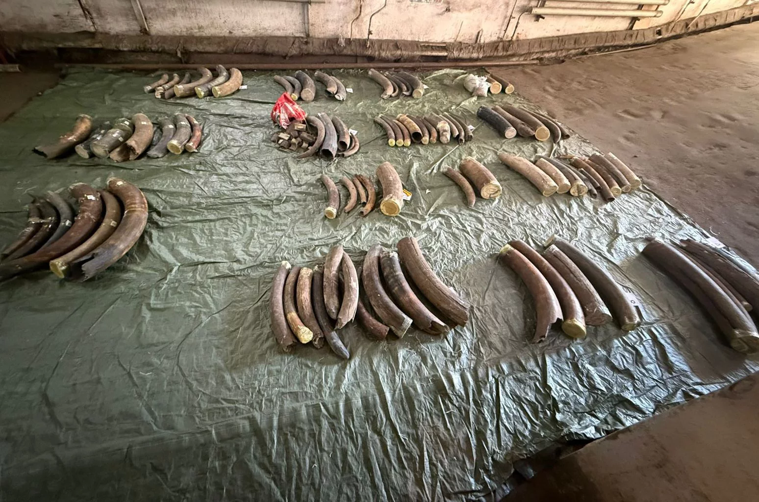 Хабаровская таможня