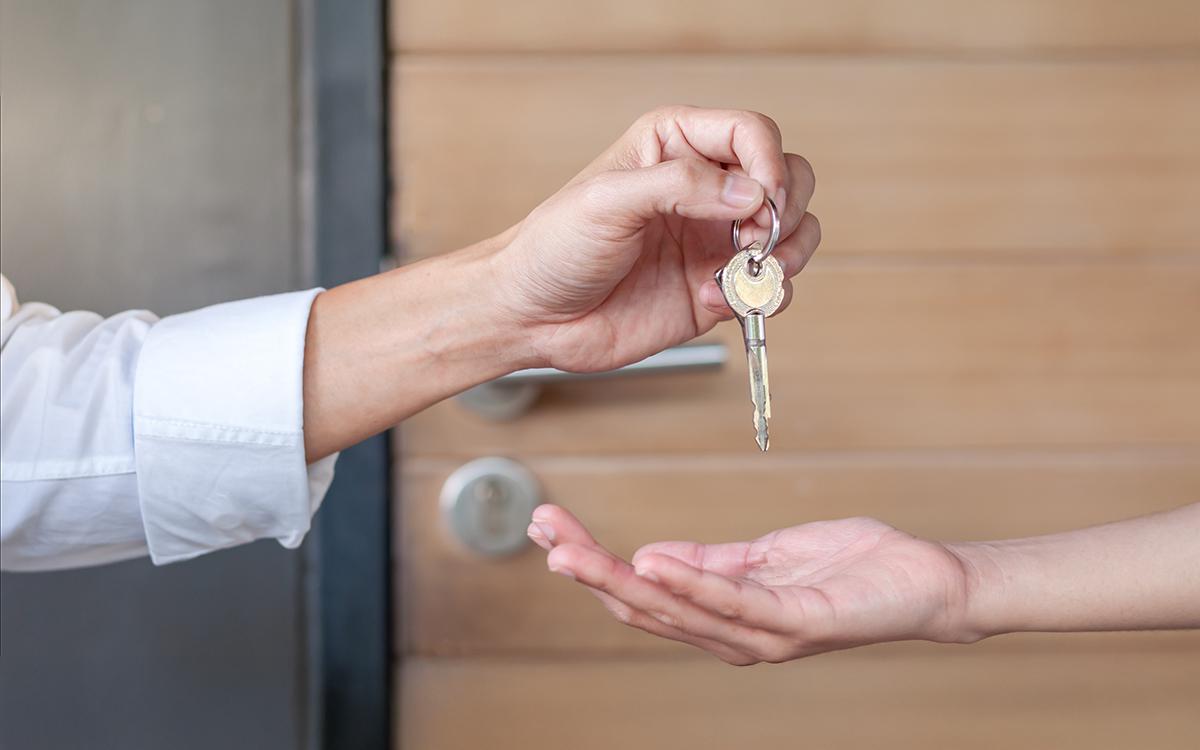 Фото: shisu_ka / Shutterstock / FOTODOM